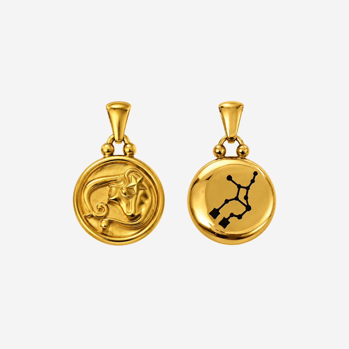 Zodiac Charms