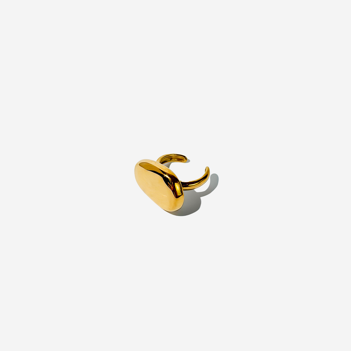 Gold-plated Titanium Ring