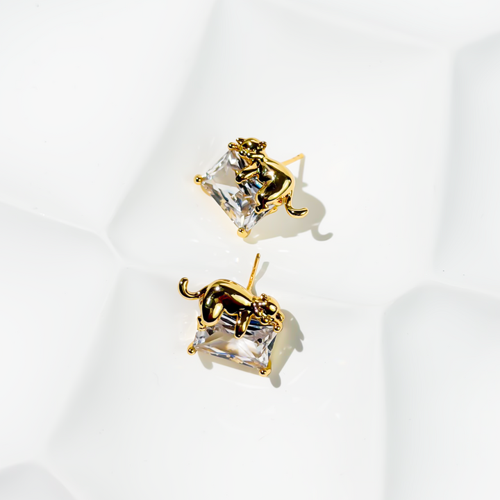 Gold-plated Titanium With Stone Earrings