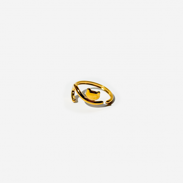 Gold-plated Titanium Ring