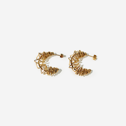 Gold-plated Titanium Earrings