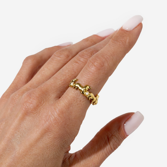 Gold-plated Titanium Ring