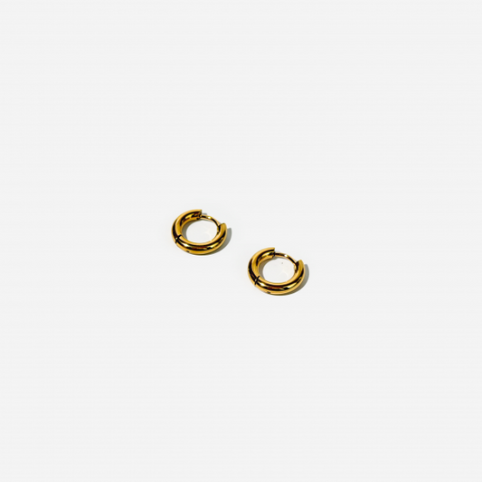 Gold-plated Titanium Earring Set Earrings