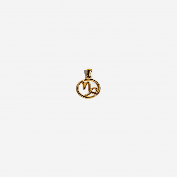 Zodiac Charm