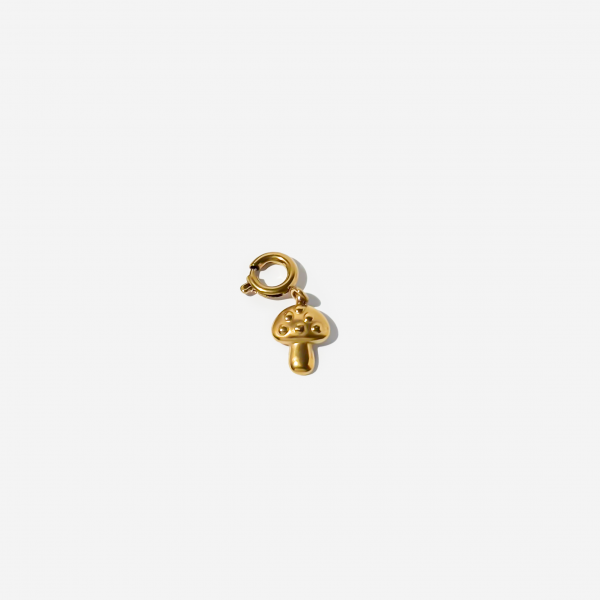 Gold-plated Titanium Charm