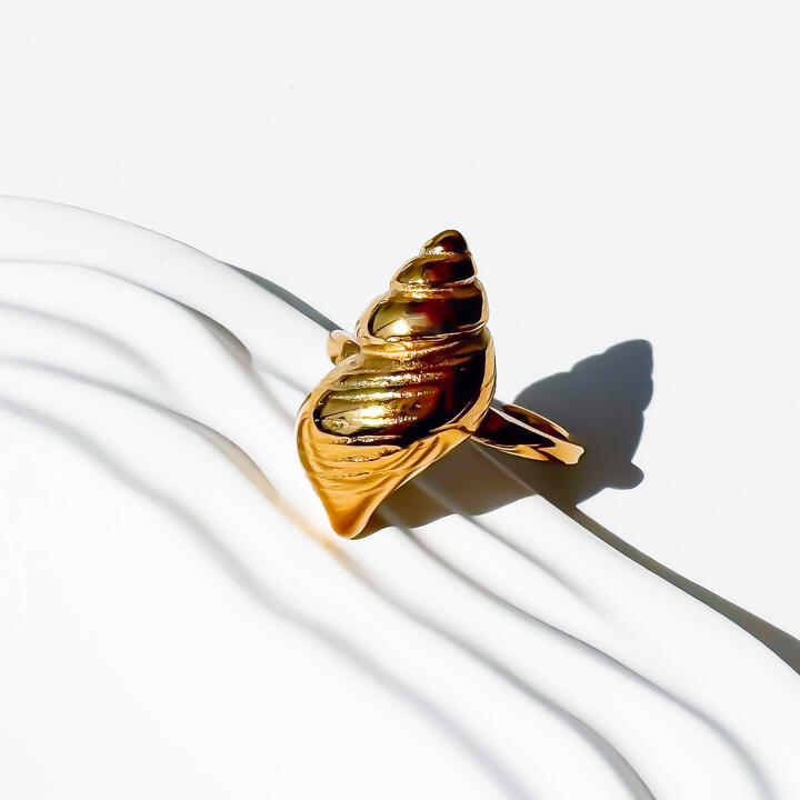 მოოქროვილი ტიტანის ნაჭუჭის ფორმის ბეჭედი