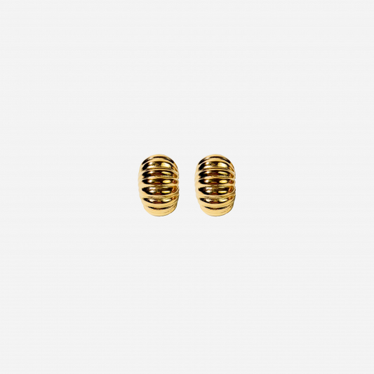 Gold-plated Titanium Earrings