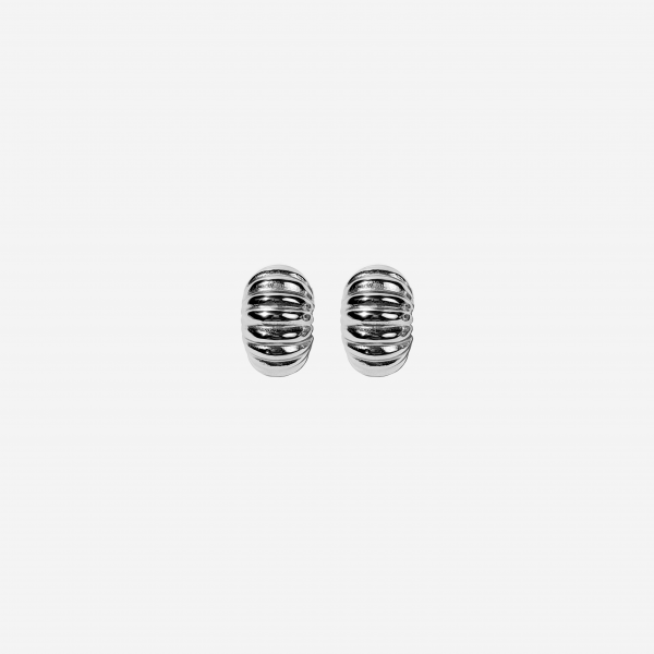 Gold-plated Titanium Earrings