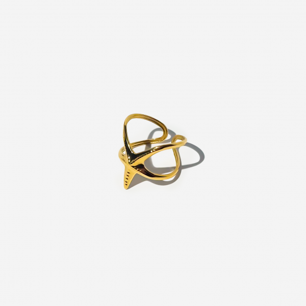 Gold-plated Titanium Ring