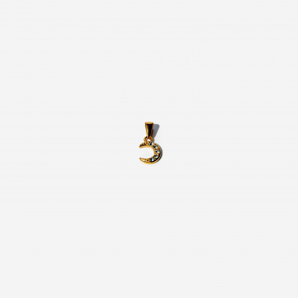 Gold-plated Titanium Charm