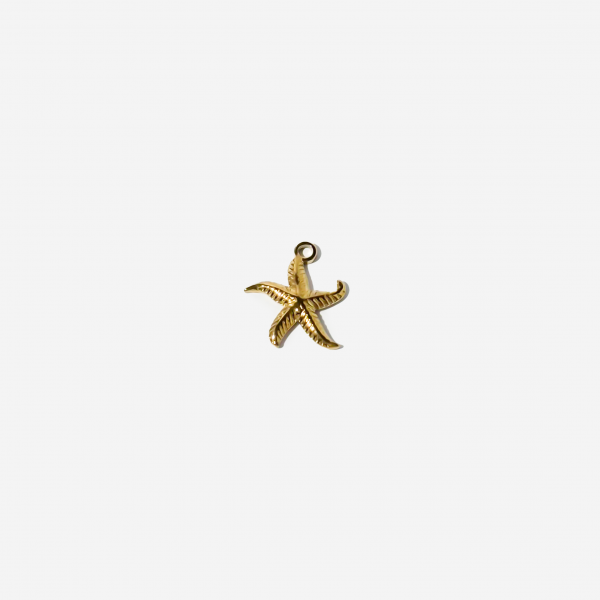 Gold-plated Titanium Sea Star Charm