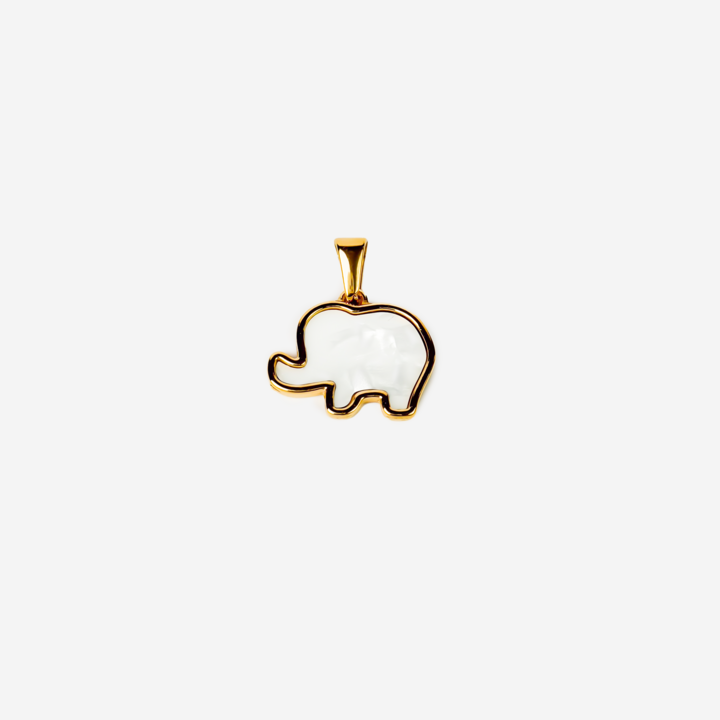 Gold-plated Titanium Charm