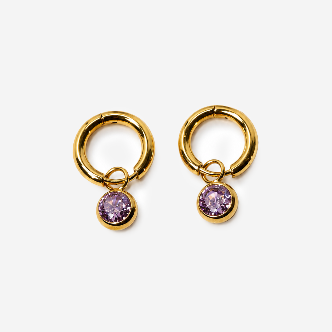 Titanium Gold Plated Purple Earrings
