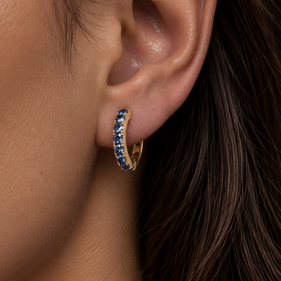 Titanium Gold Plated Blue Earrings