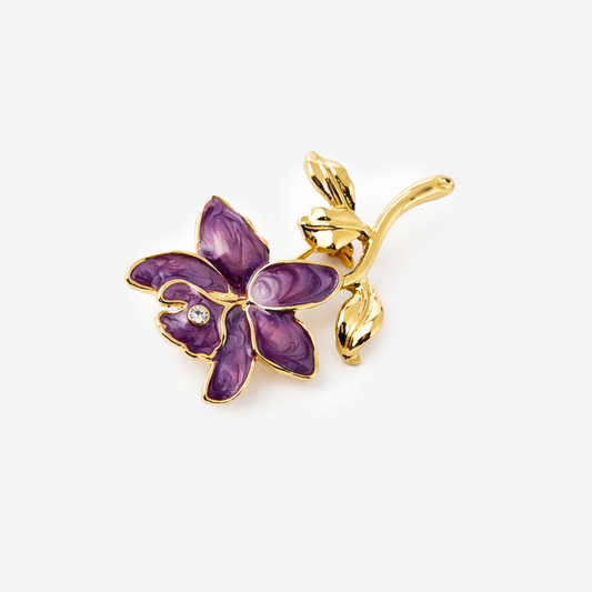Viola
