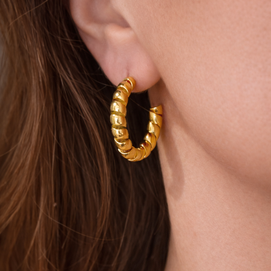 Gold-plated Titanium Earrings