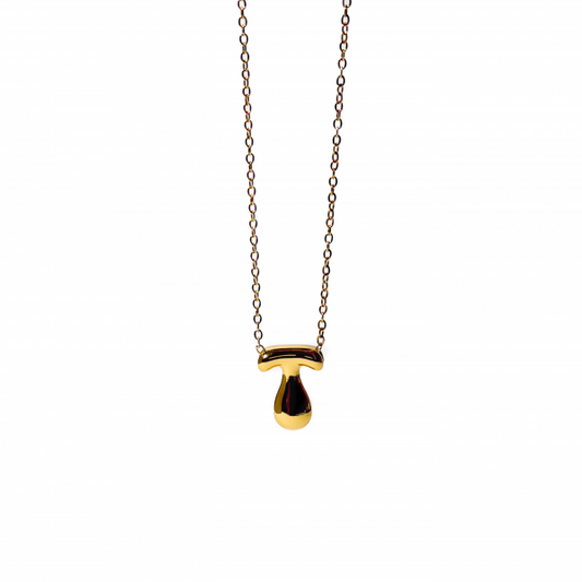 Gold-plated Titanium Necklace