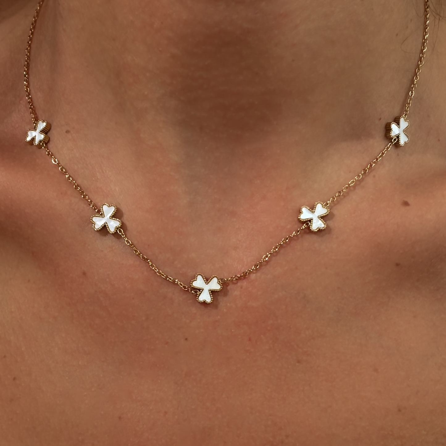 სასაჩუქრე ყუთი "Fortuna"