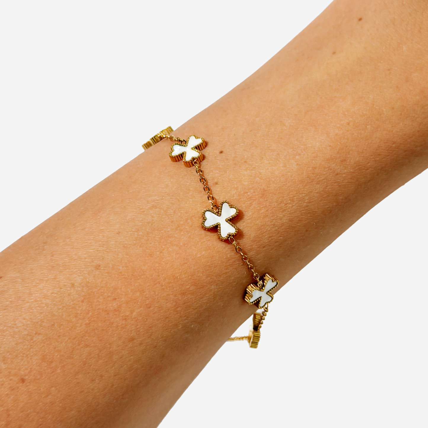 სასაჩუქრე ყუთი "Fortuna"