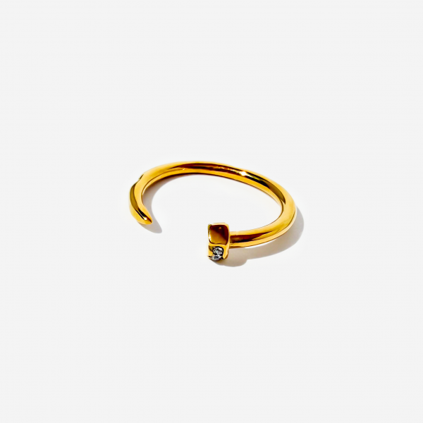 Gold-plated Titanium Ring