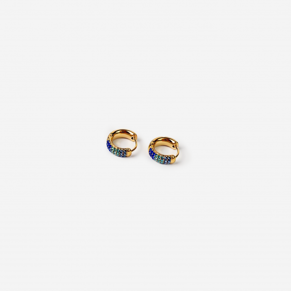 Gold-plated Titanium Earrings