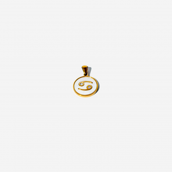 Zodiac Charm