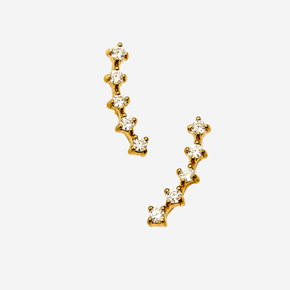 Gold-plated Titanium With Stone Earrings