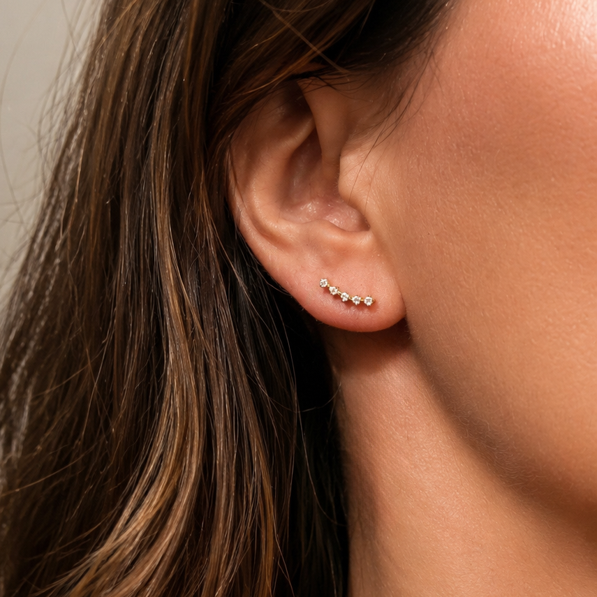 Gold-plated Titanium With Stone Earrings