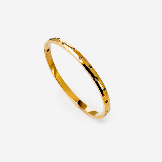 Gold-plated Titanium With Stone Bracelet