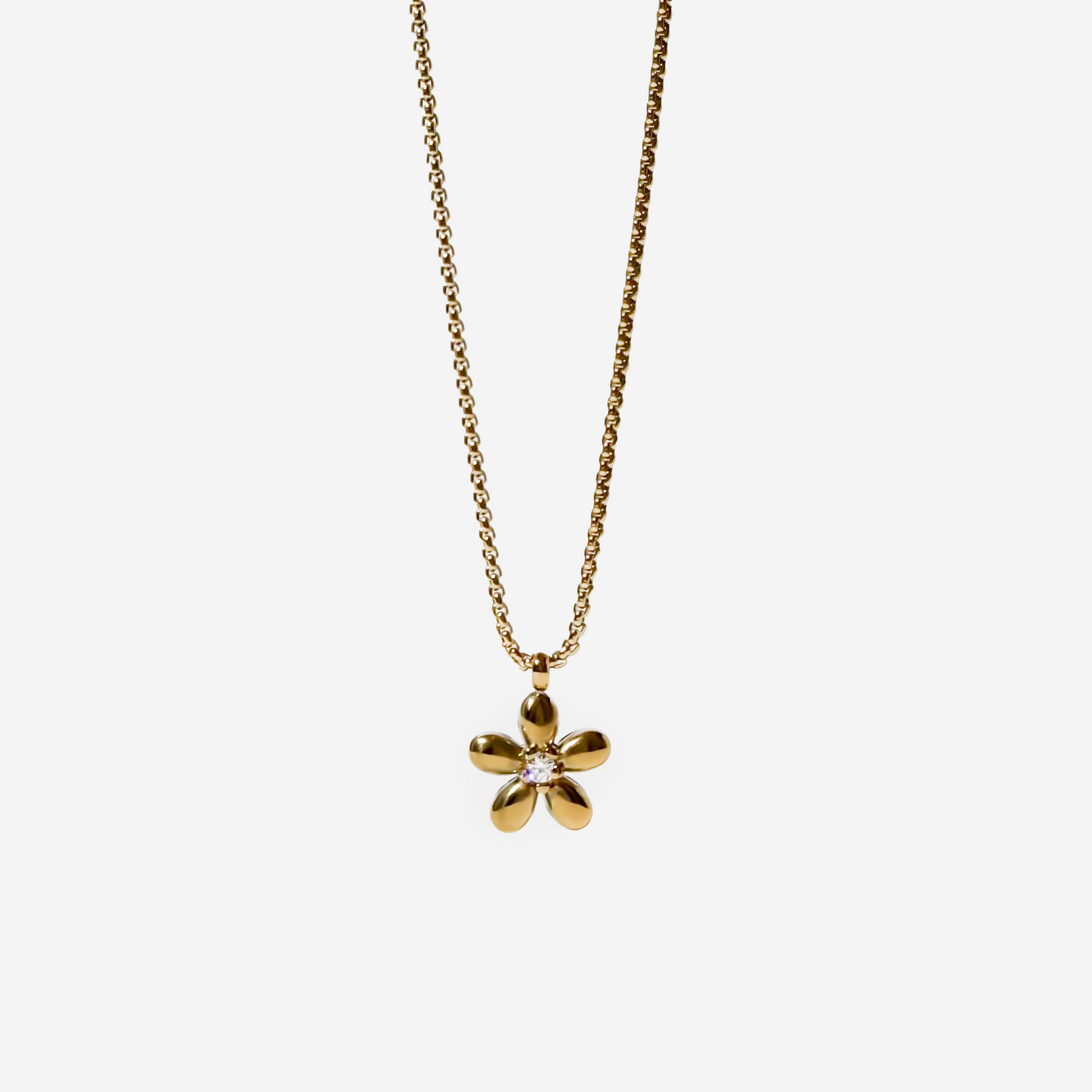 Gift Box "Daisy"
