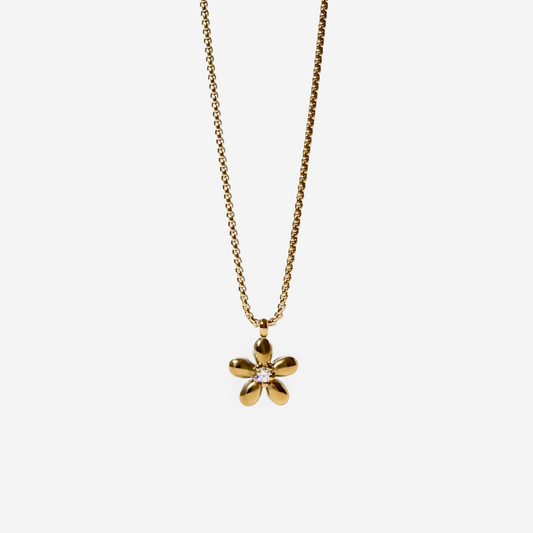 Gift Box "Daisy"