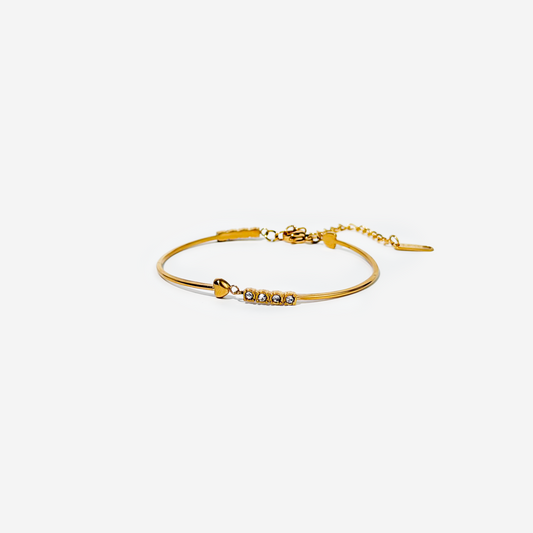Gold-plated Titanium With Stone Bracelet