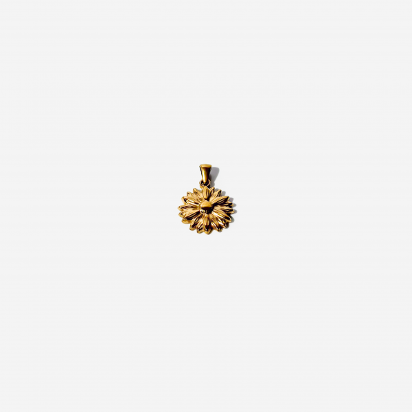 Gold-plated Titanium Charm