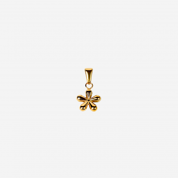 Gold-plated Titanium Charm
