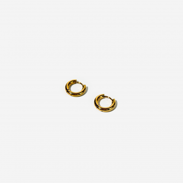 Gold-plated Titanium Earring Set Earrings