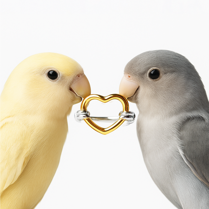 Gold-plated Titanium Heart Shaped Ring