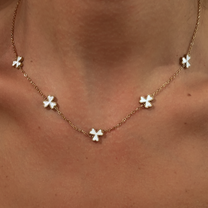 სასაჩუქრე ყუთი "Fortuna"