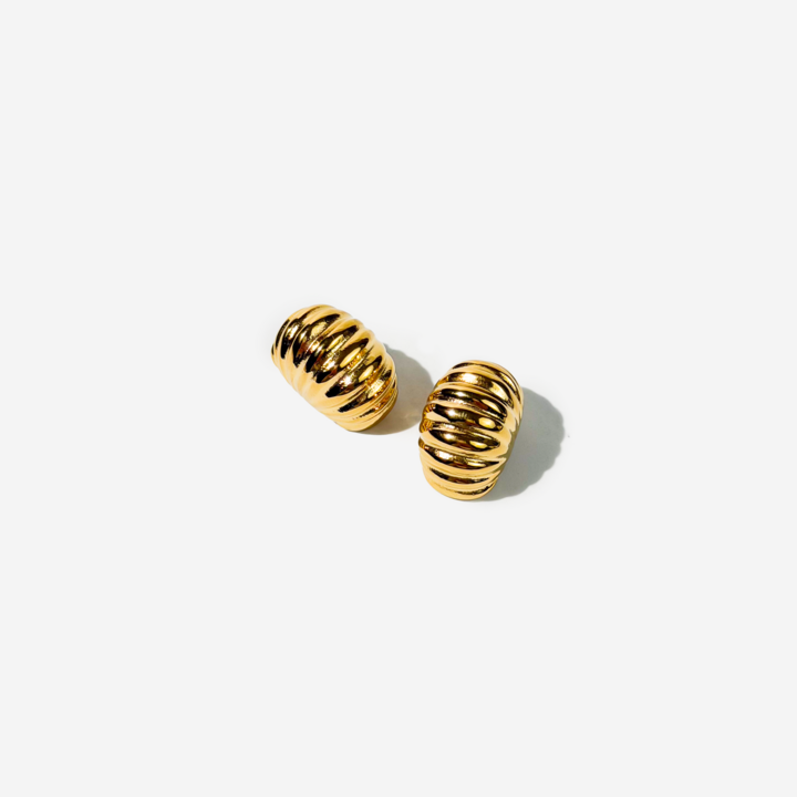 Gold-plated Titanium Earrings