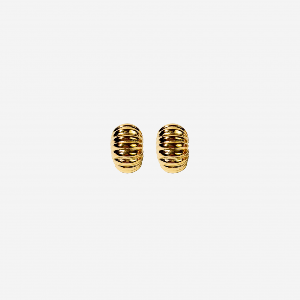 Gold-plated Titanium Earrings