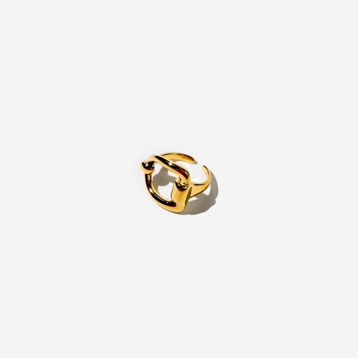 Gold-plated Titanium Gold Ring