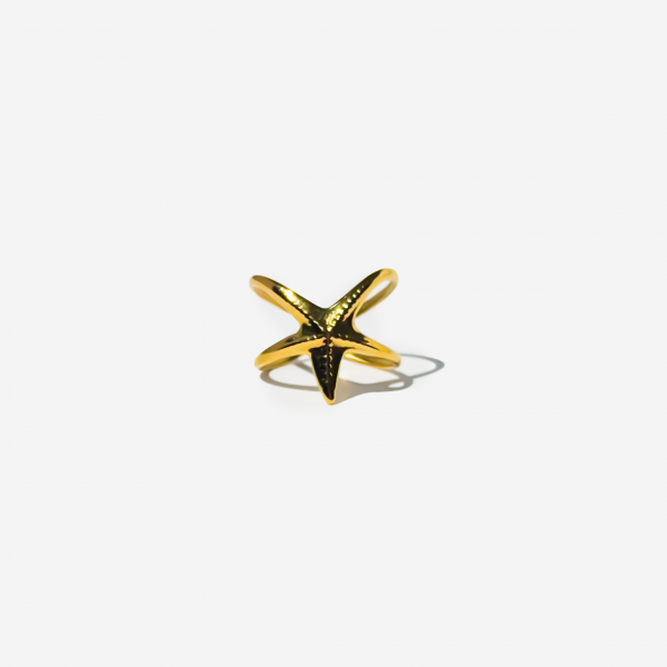 Gold-plated Titanium Ring