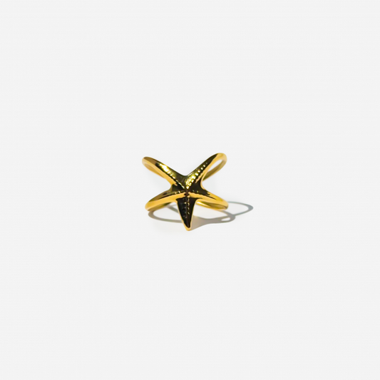 Gold-plated Titanium Ring