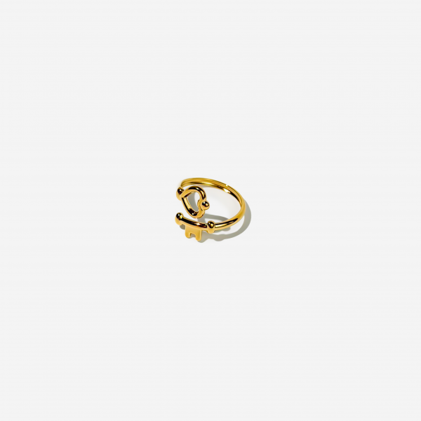 მოოქროვილი ტიტანის ბეჭედი