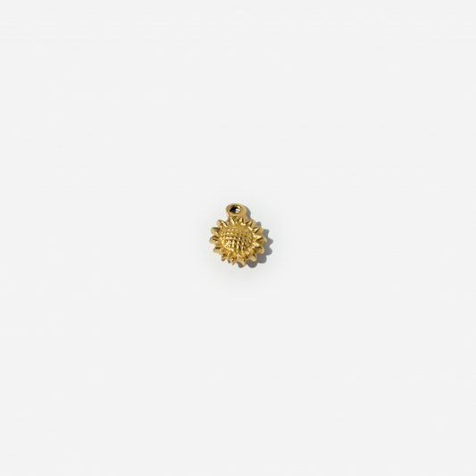 Gold-plated Titanium Charm