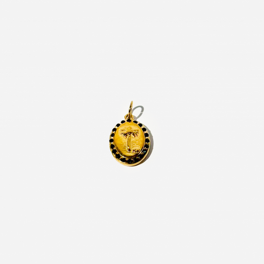 Gold-plated Titanium Charm