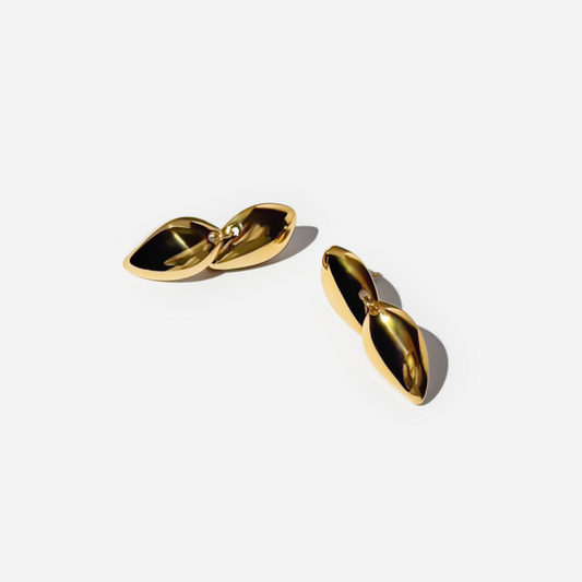 Gold-plated Titanium Earrings