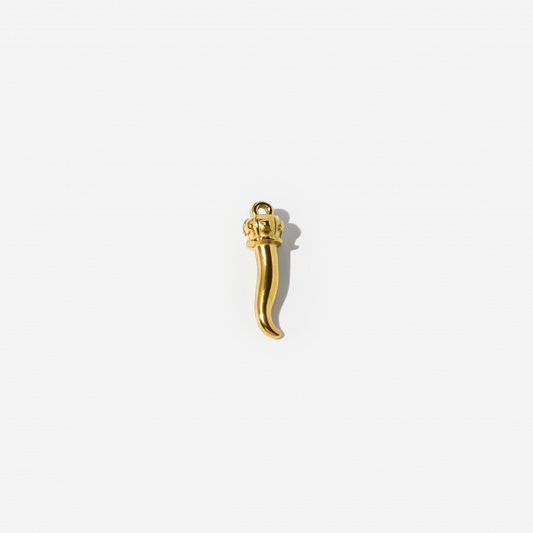 Gold-plated Titanium Charm